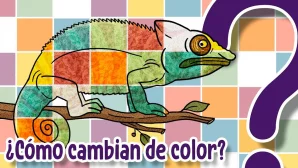 ¿Cómo cambian de color los animales que cambian de color?