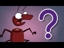 ¿Las cucarachas pueden vivir sin cabeza?