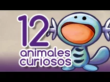 Los 12 animales más curiosos